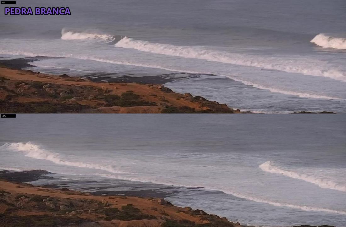 pedra_crowd